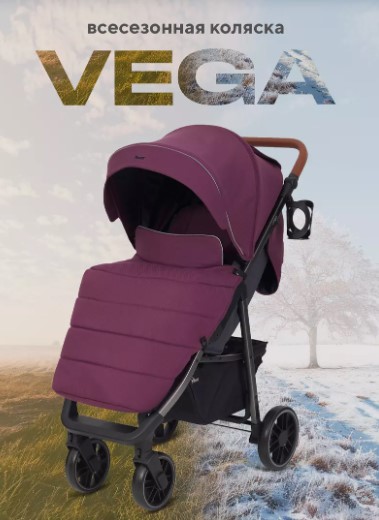 картинка РАНТ, КОЛЯСКА прогул. "VEGA"  (Purple) от магазина Радуга детства